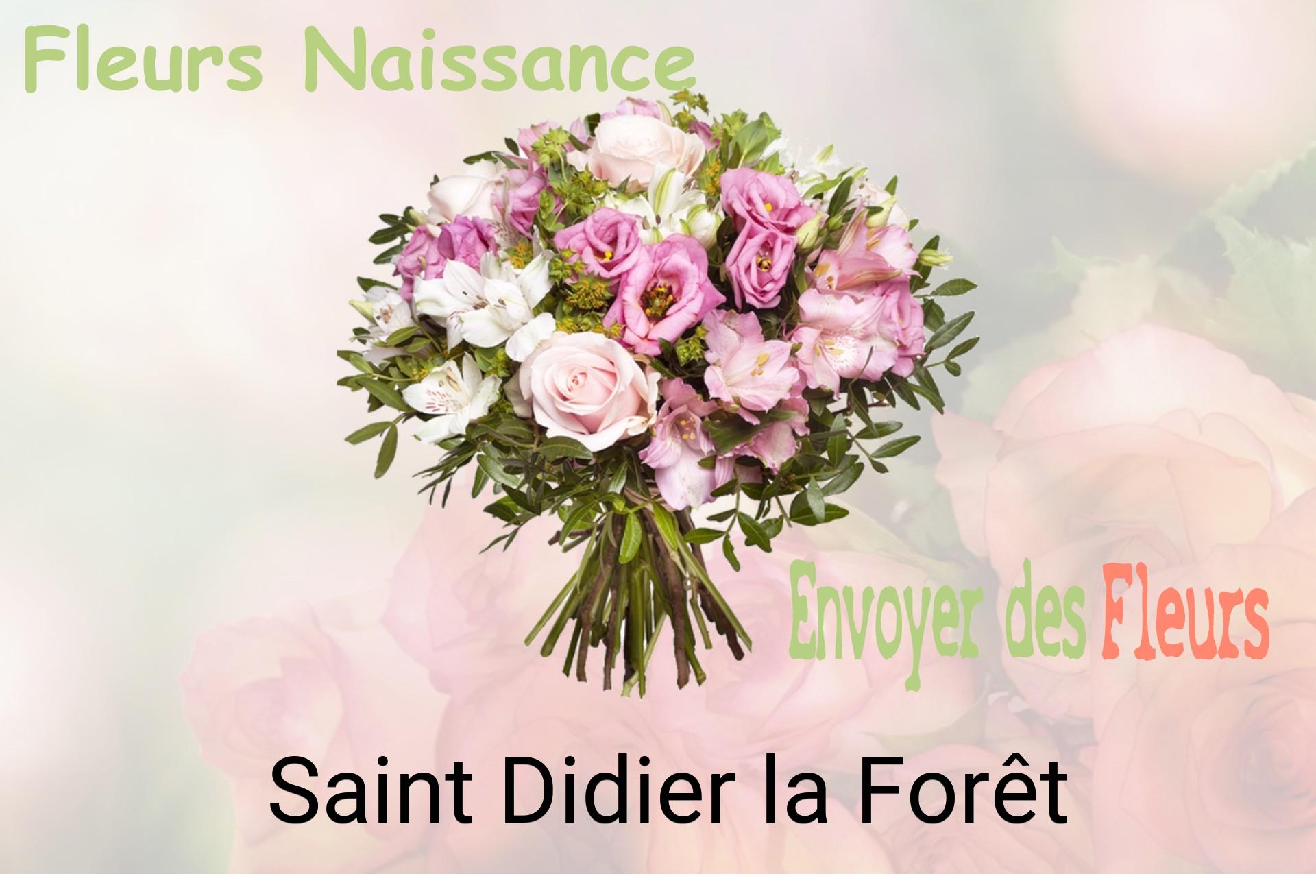 Bouquet de fleurs de naissance livré à Saint-Didier-la-Forêt